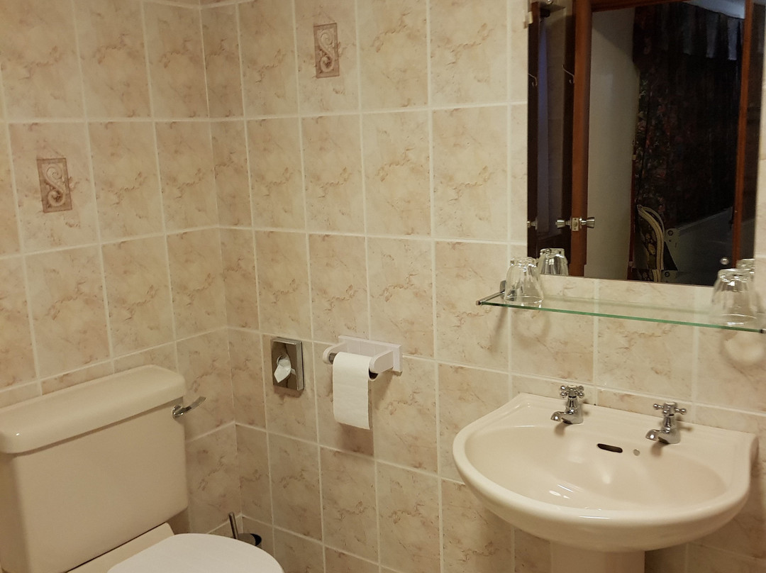 Dolbrodmaeth Riverside B&B主图