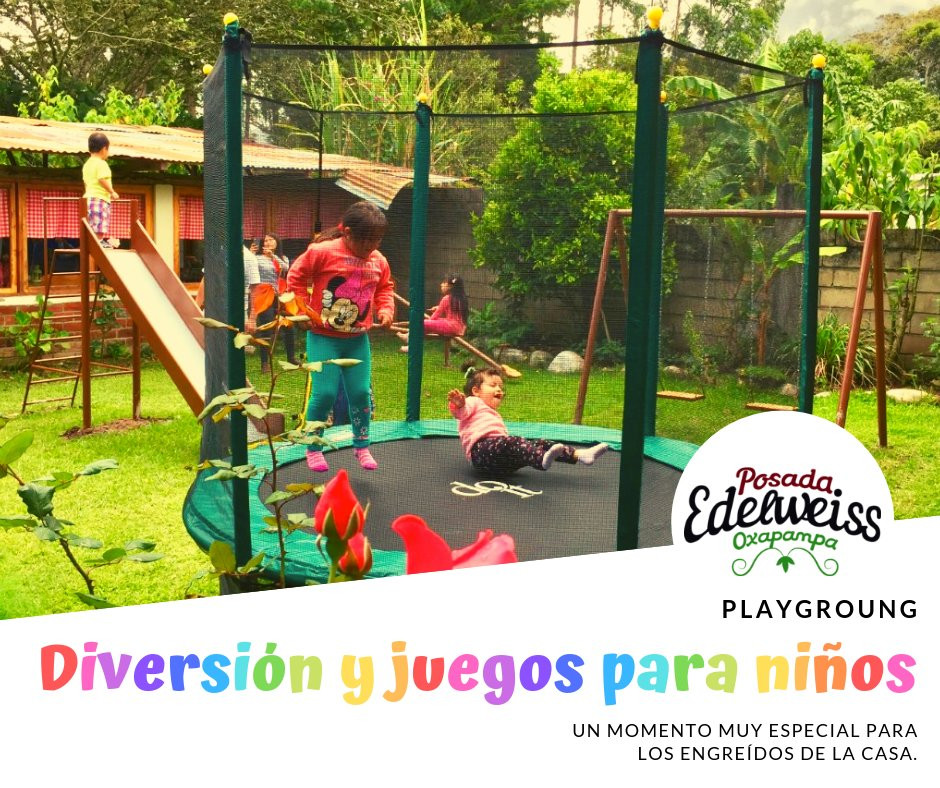 奥克萨潘帕酒店住宿-Posada Edelweiss