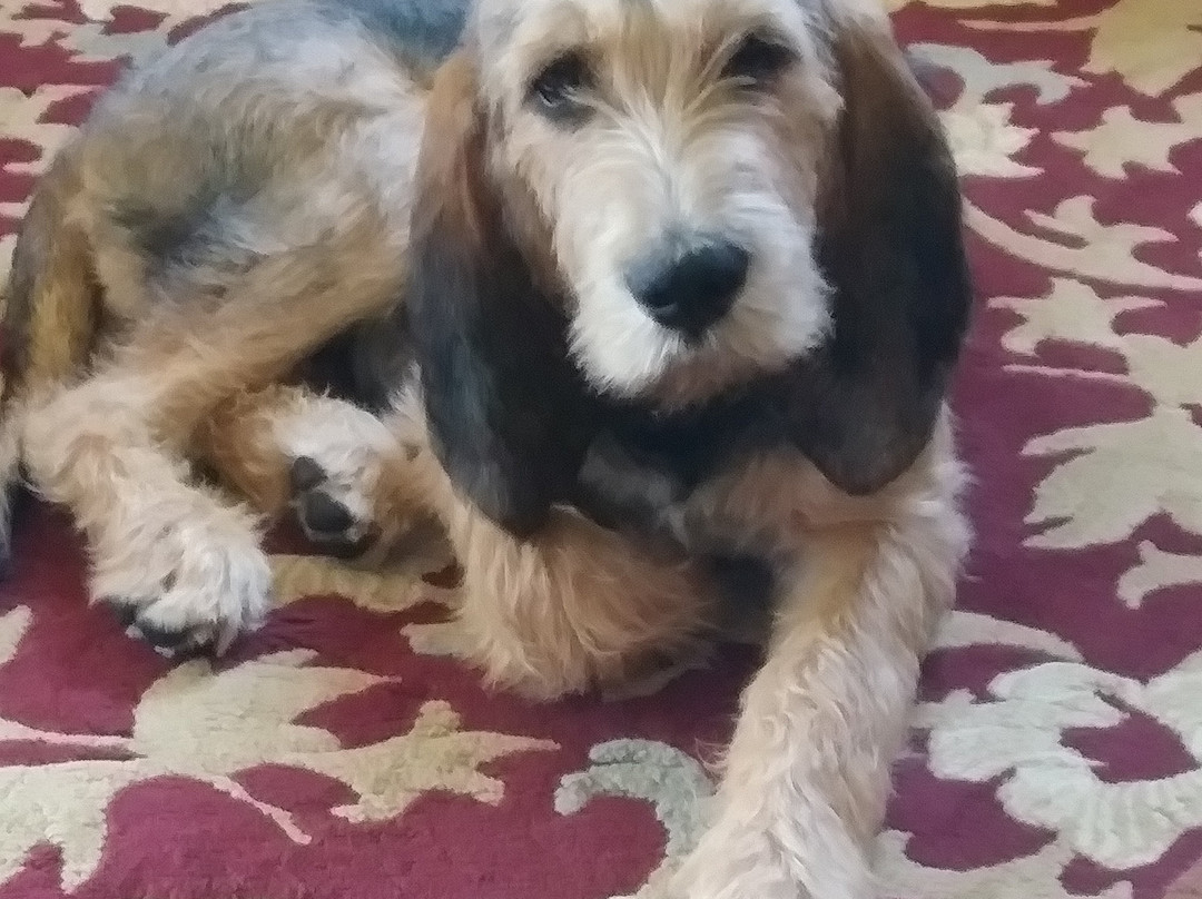 Colonial House on Main Bed & Breakfast主图