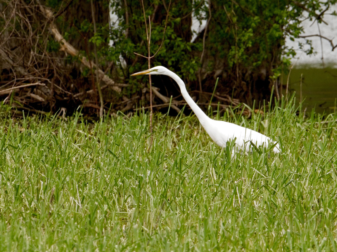 Shelburne Bay Park-谢尔本必去景点