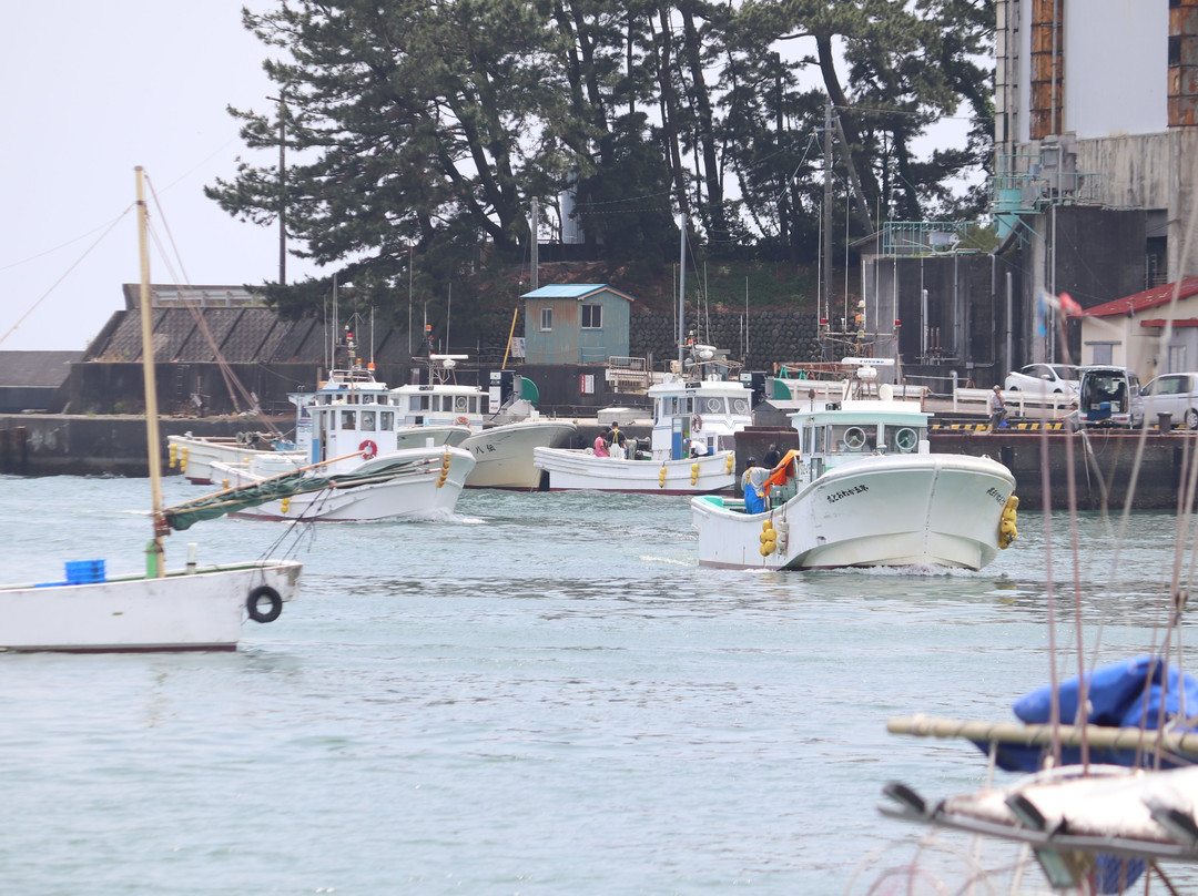 Mochimune Fishing Port-静冈市必去景点