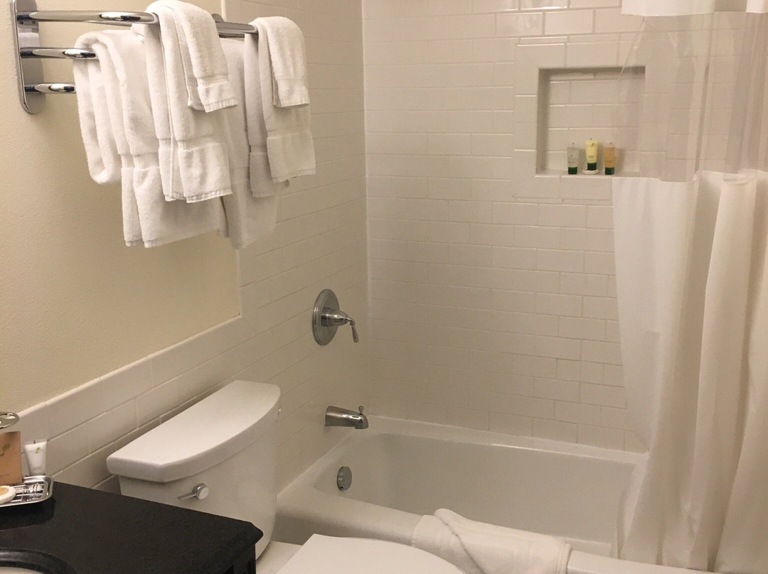 猛犸溪酒店主图