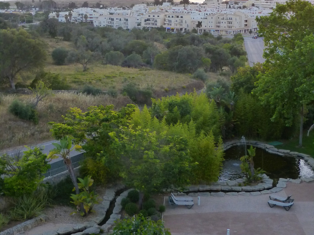 Pestana Alvor Park主图
