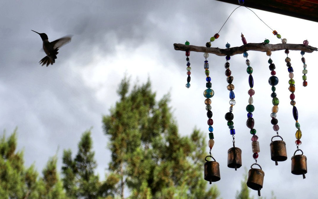 Casitas de Gila Guesthouses主图