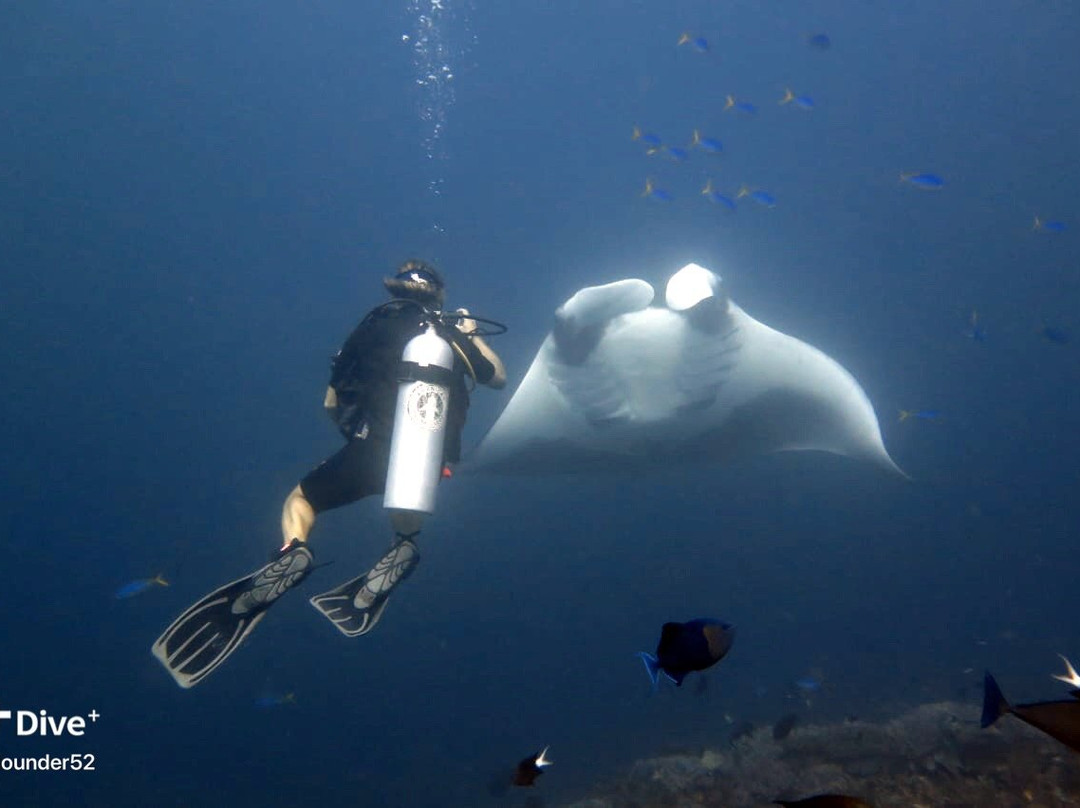 Arborek Dive Shop-Arborek必去景点