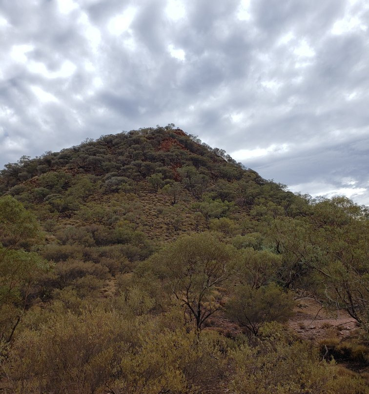 Redbank Gorge-West MacDonnell National Park必去景点