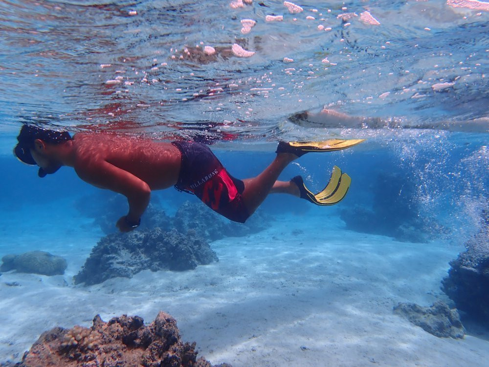 Moorea Maori Tours-哈皮迪必去景点