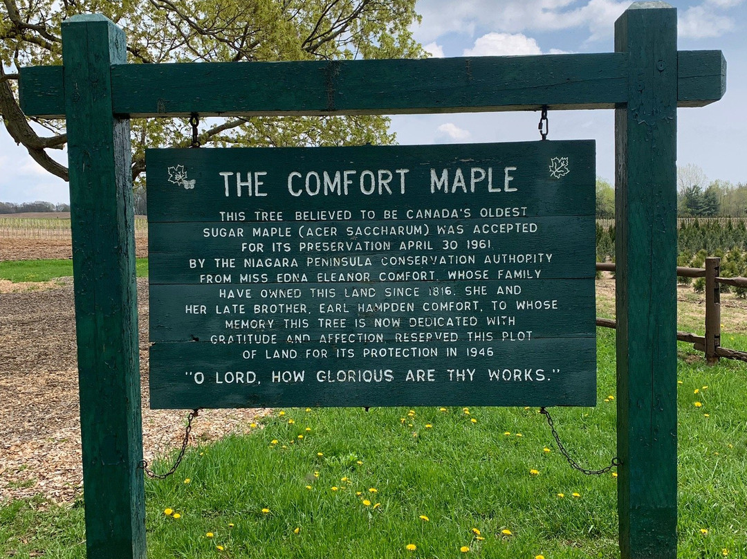 Comfort Maple Conservation Area景点图片