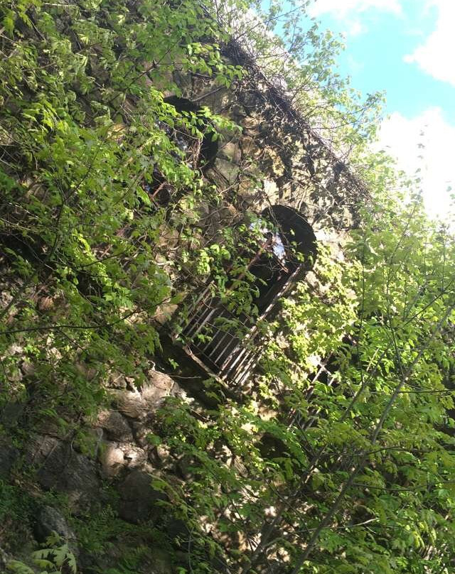 Sunny Ridge Preserve景点图片