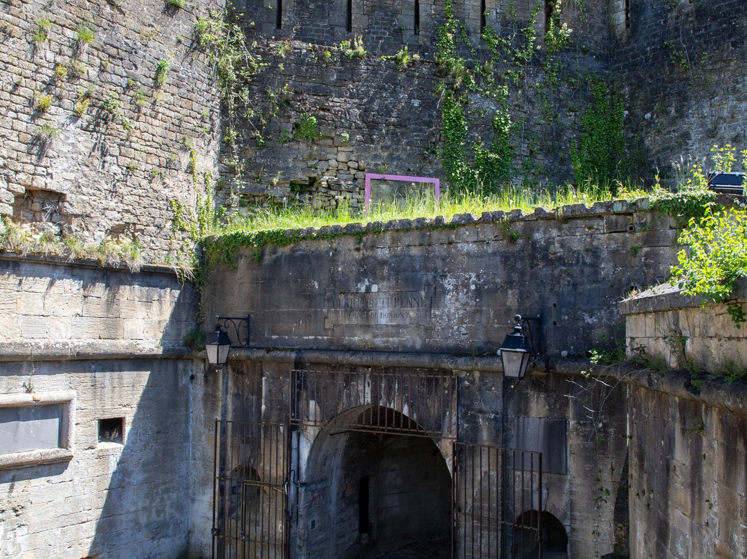 Château Fort de Sedan景点图片