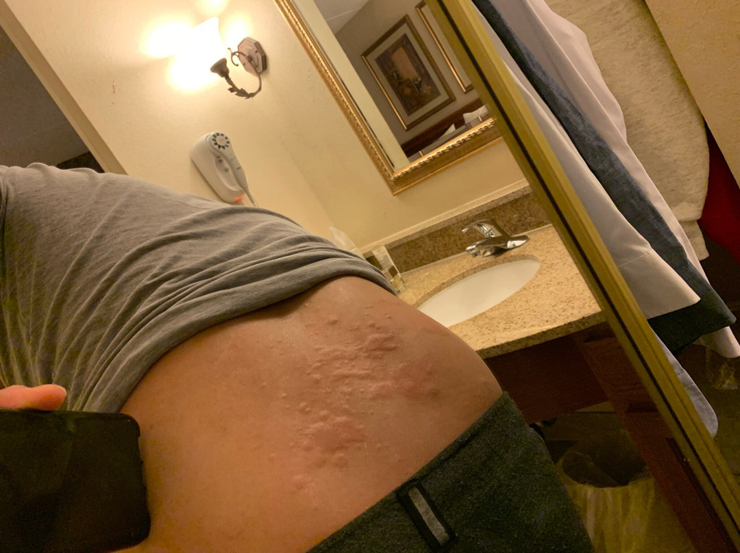 Homewood Suites by Hilton Richmond-Chester主图