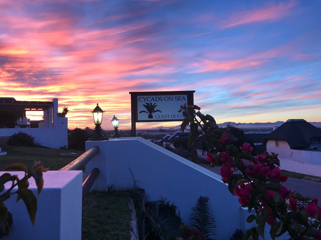 Cycads on Sea Guest House主图