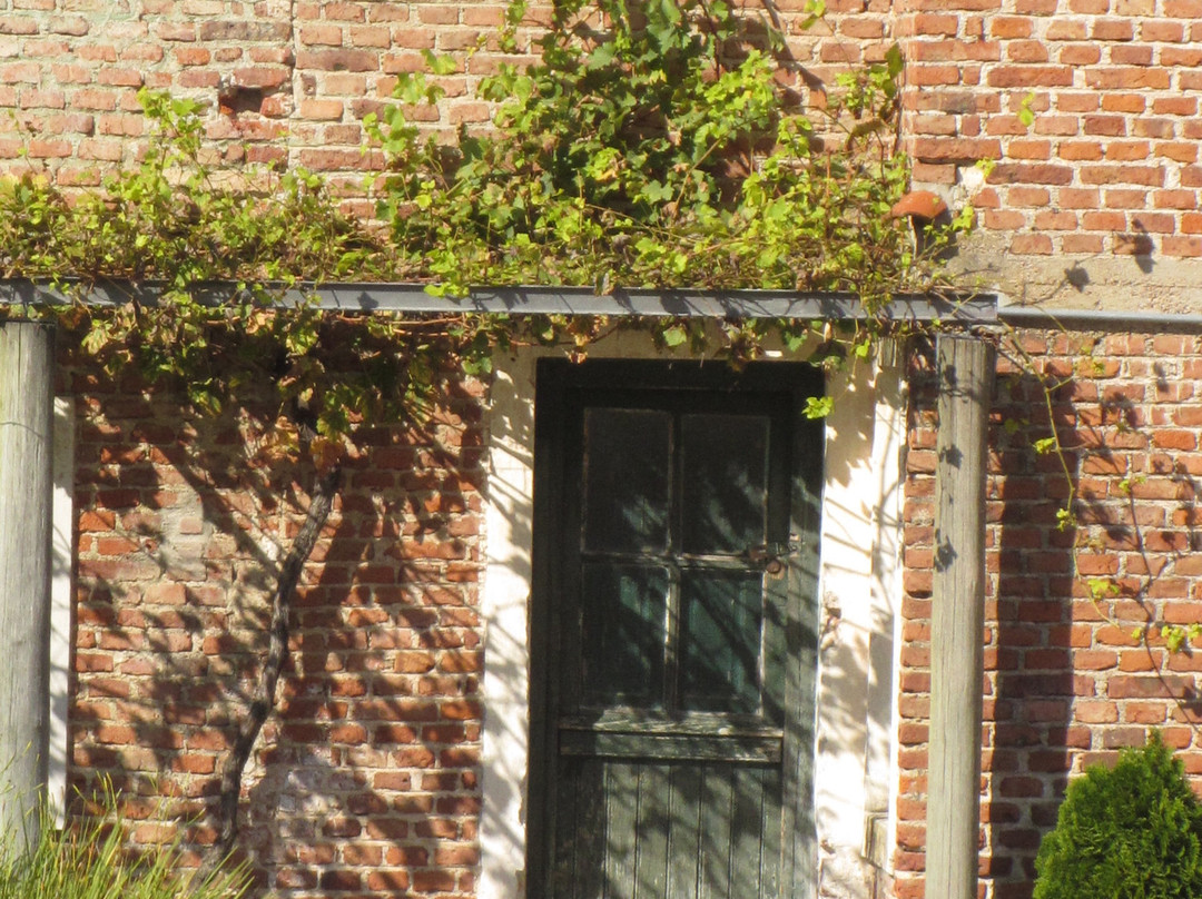 Bouza Bodega Boutique景点图片