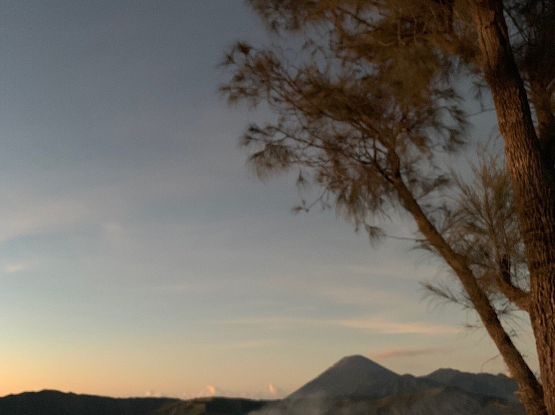 Javaline trip-泗水必去景点