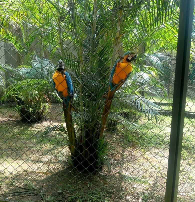 Zoologico Municipal景点图片
