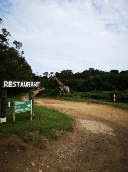Seaview Lion Park-伊丽莎白港必去景点