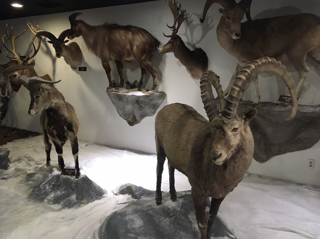 Visitor Center-温尼马卡必去景点