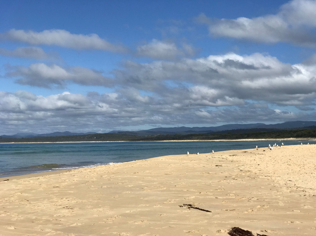 Main Beach景点图片