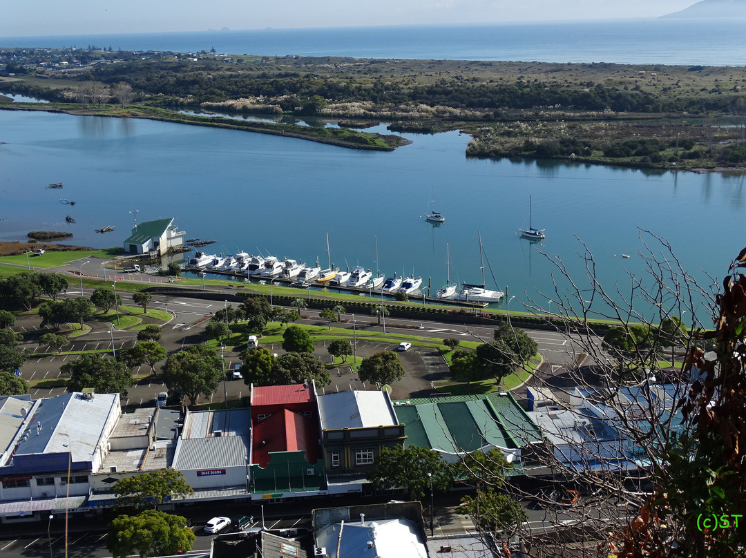 Puketapa Lookout景点图片