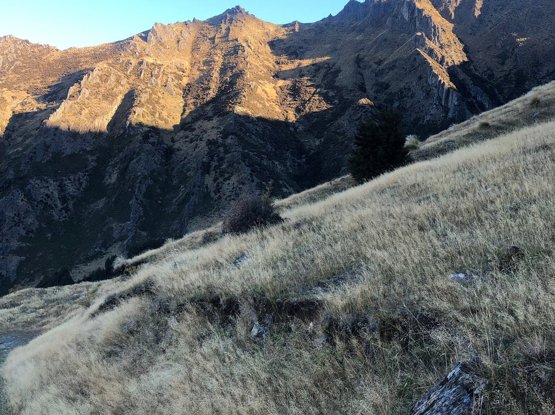 Isthmus Peak Track景点图片