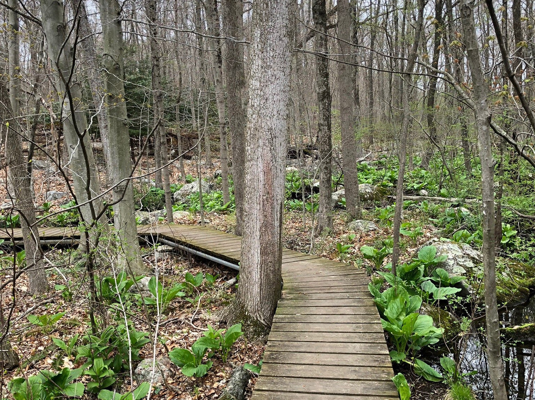 Bartlett Arboretum-斯坦福必去景点