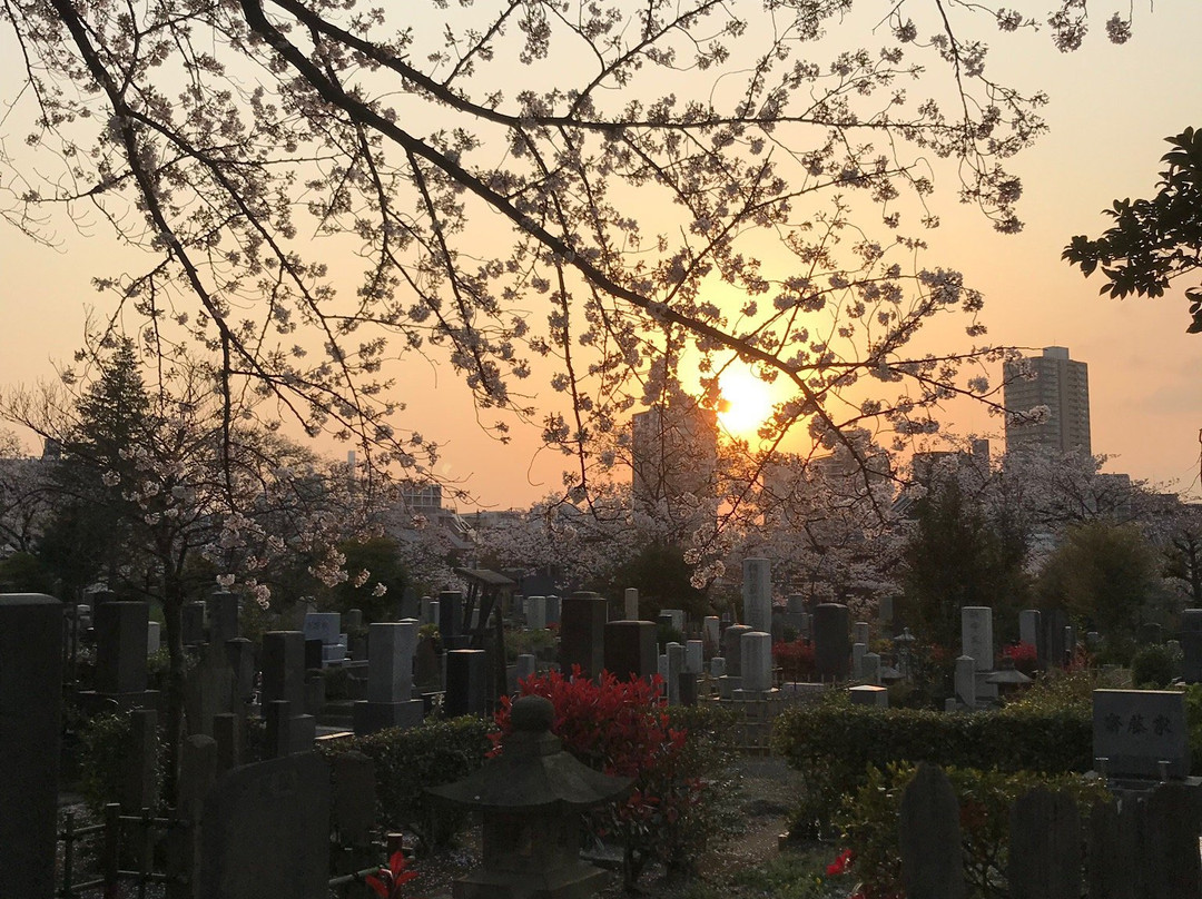 Somei Graveyard-Komagome必去景点