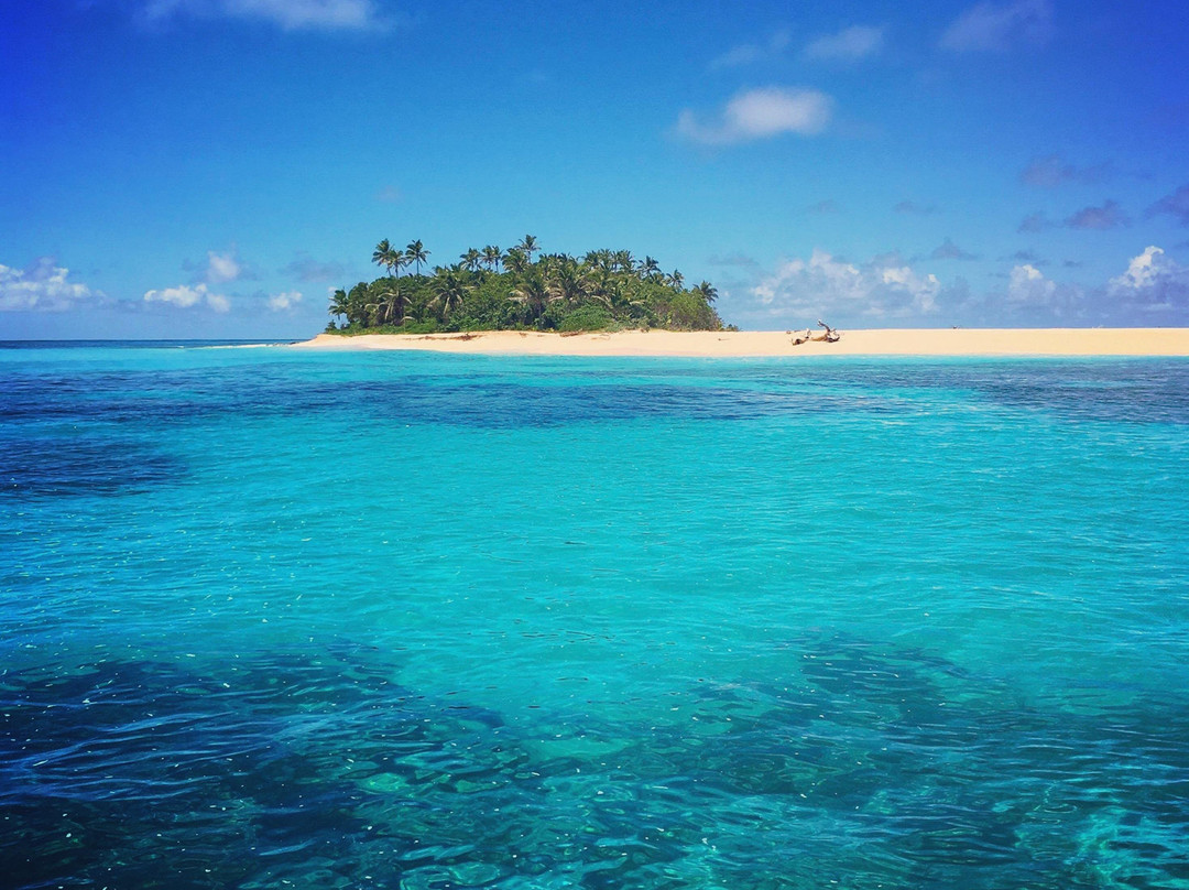 Tuna Moana Whale Swim Adventures-努库阿洛法必去景点