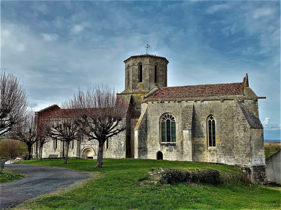 Eglise Saint-Pierre景点图片