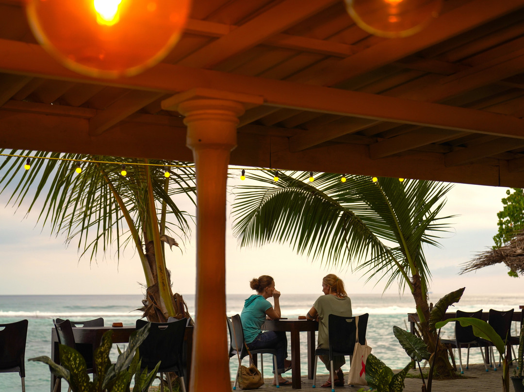 Turtle Beach Cafe On The Beach