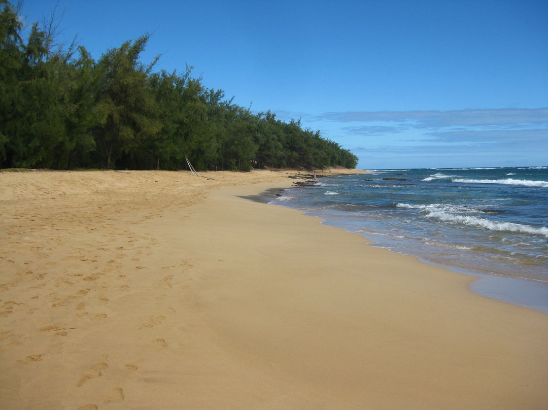 Mahaulepu Beach景点图片