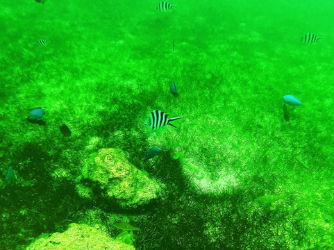 塞班格兰酒店主图