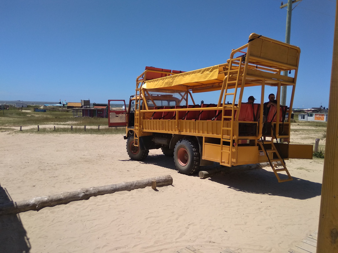 Beaches at Cabo Polonio-Cabo Polonio必去景点