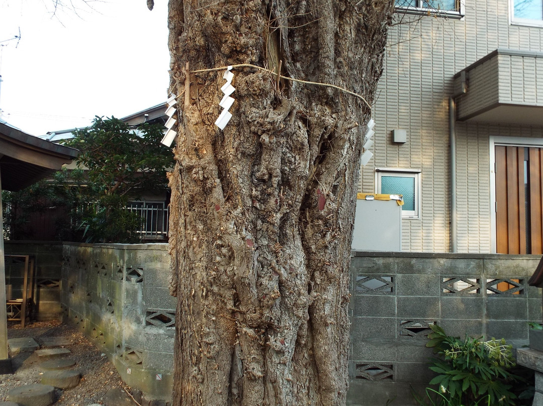Sambo-ji Temple-小田原市必去景点