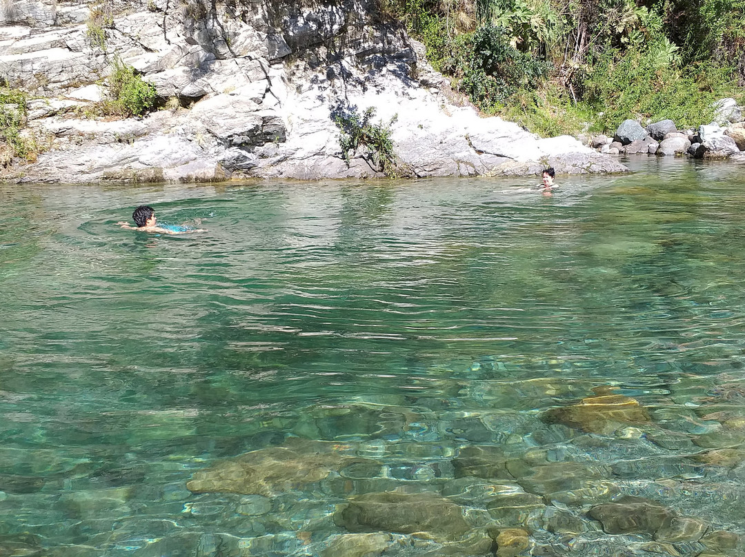 Reserva Nacional Los Bellotos-Colbun必去景点