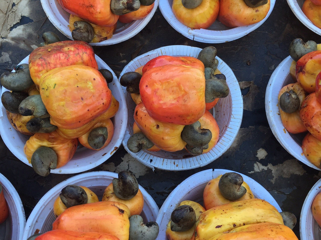 Mercado Sao Jose-累西腓必去景点