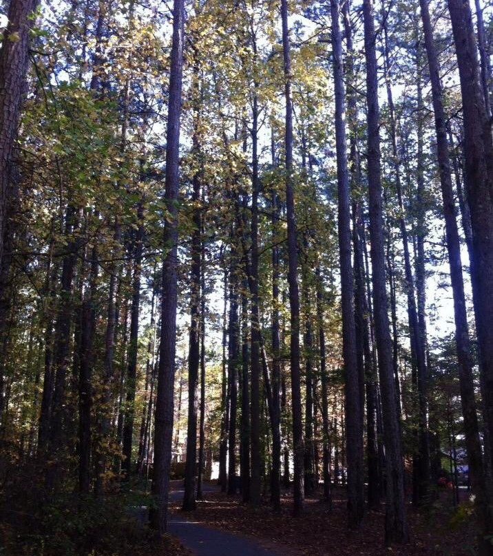 Golf Cart Paths-桃树市必去景点