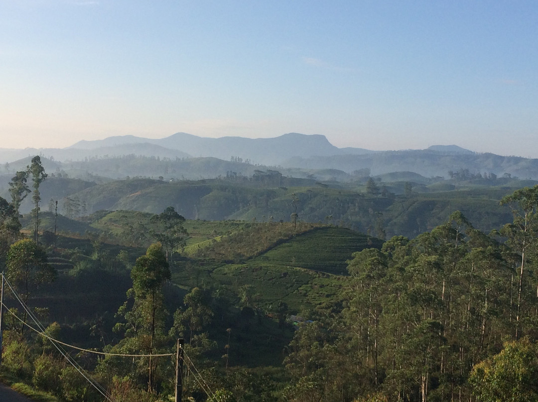 Daynish Rock Bungalow主图