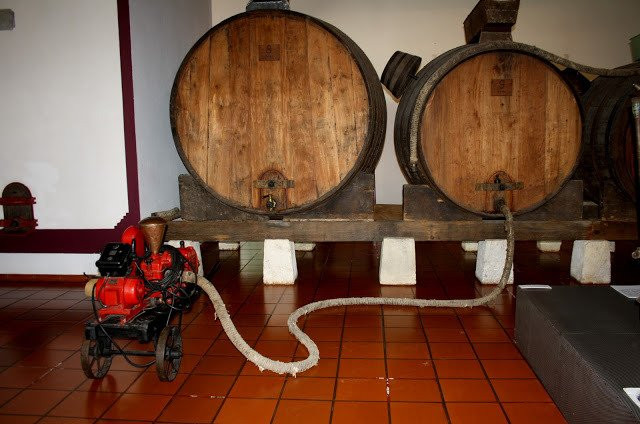Museu Rural e do Vinho do Cartaxo-Cartaxo必去景点