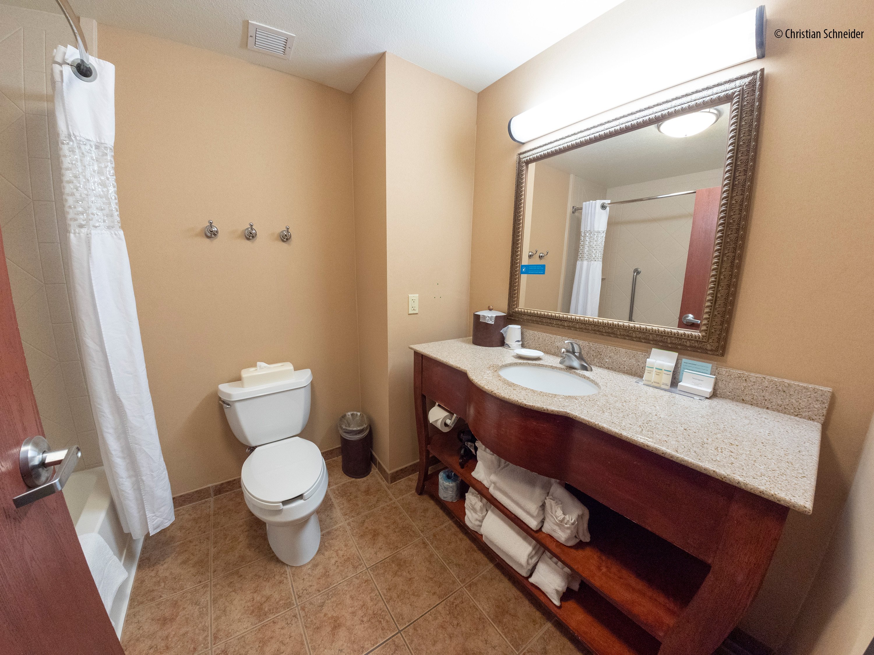 Hampton Inn & Suites Phoenix-Surprise-浴室