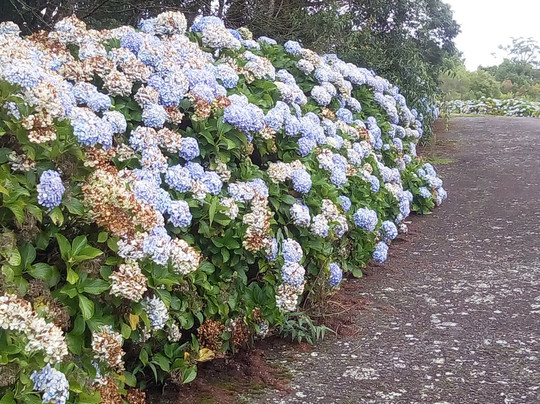 Parque do Palácio-卡内拉必去景点