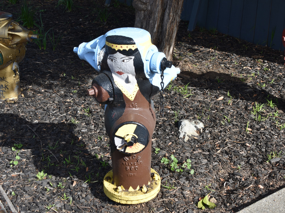 Fire Hydrant Plug Preserve-布里斯班必去景点