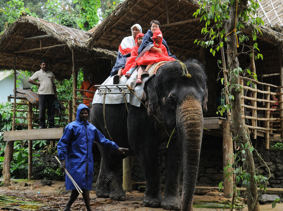 Mistykerala Holidays景点图片