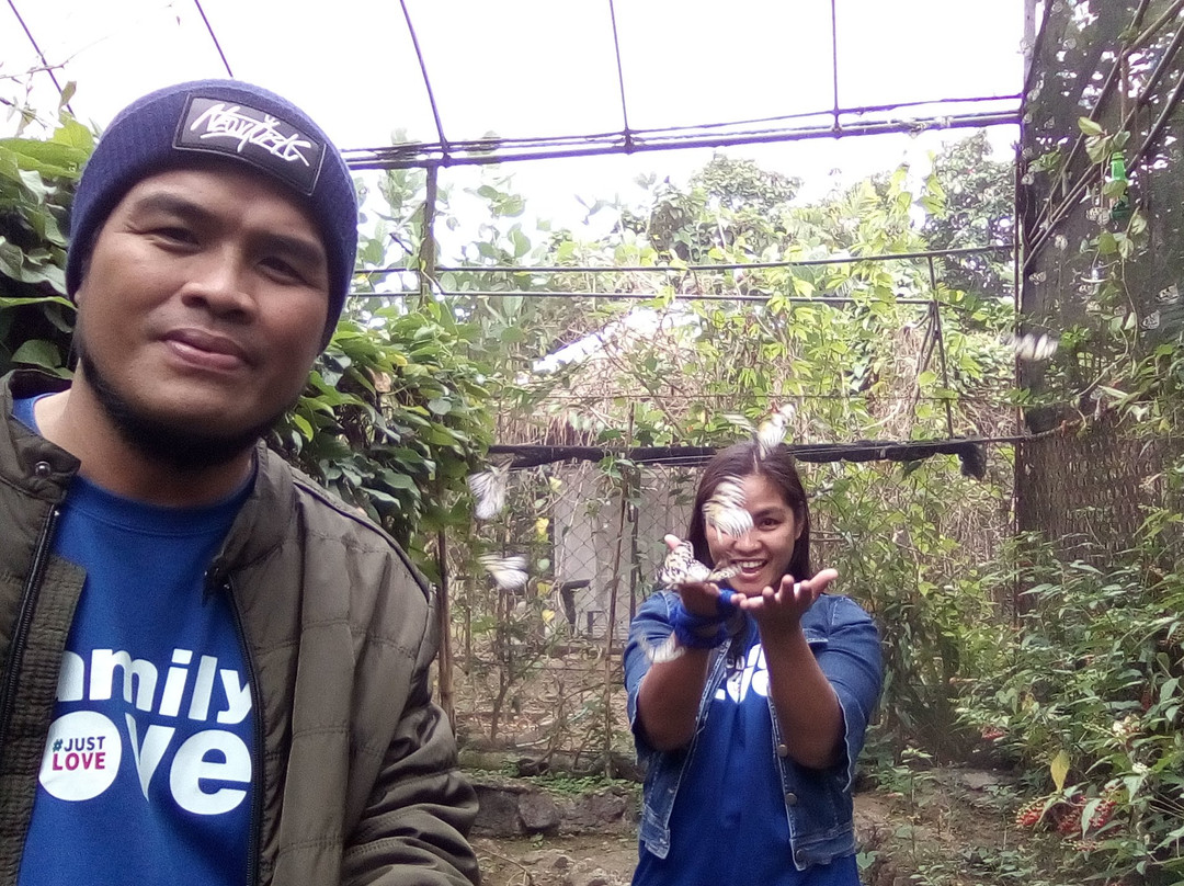 Pulilan Butterfly Haven-Pulilan必去景点