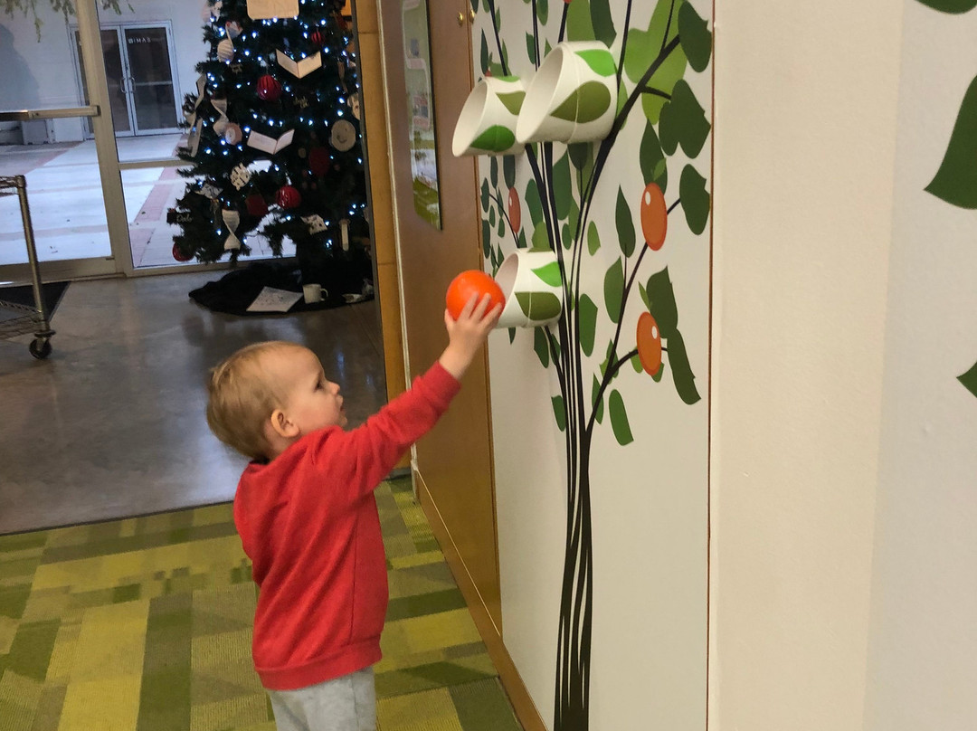 International Museum of Art & Science (IMAS)-麦卡伦必去景点