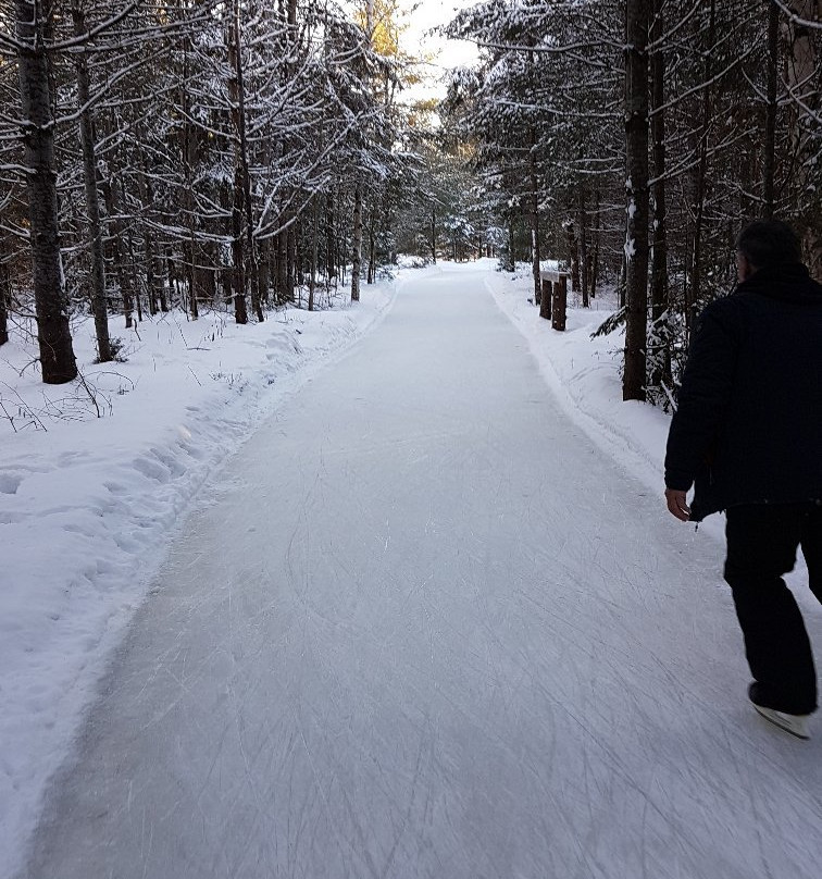 Patinage En Foret-Lac-des-Loups必去景点