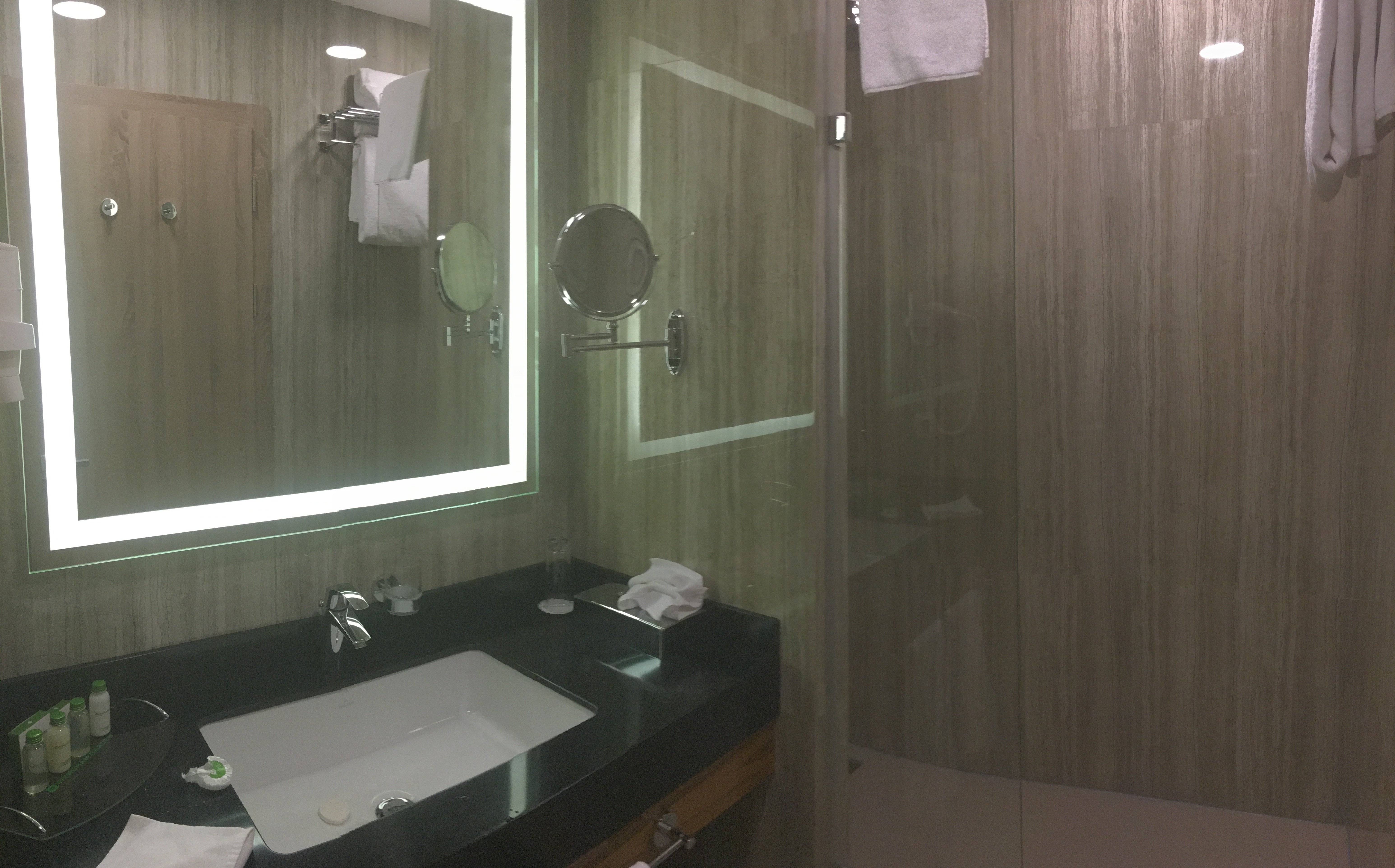 Wyndham Garden Astana-浴室