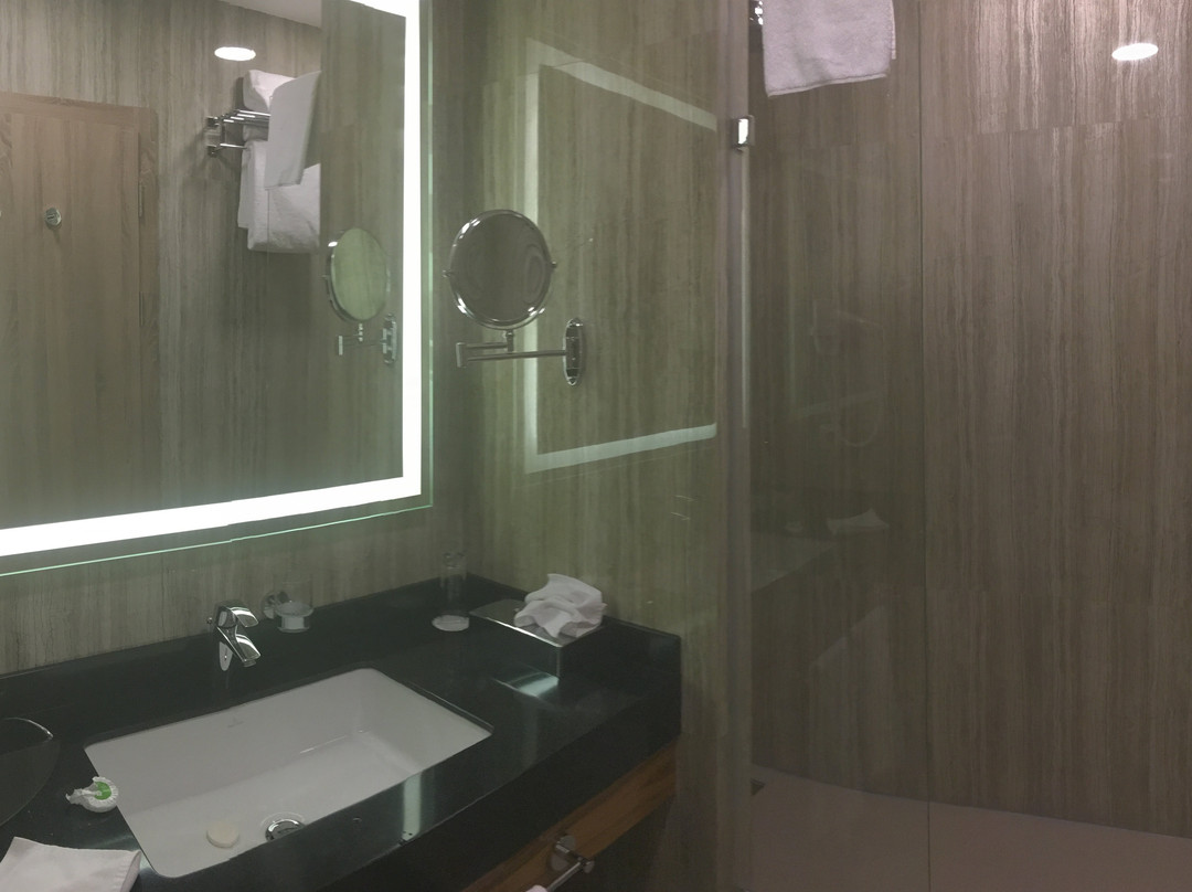 Wyndham Garden Astana主图