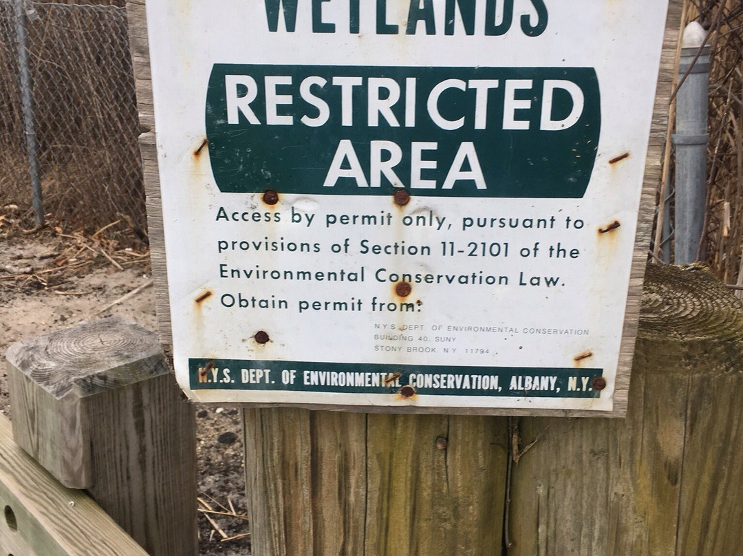 Blue Point Dock-Blue Point必去景点