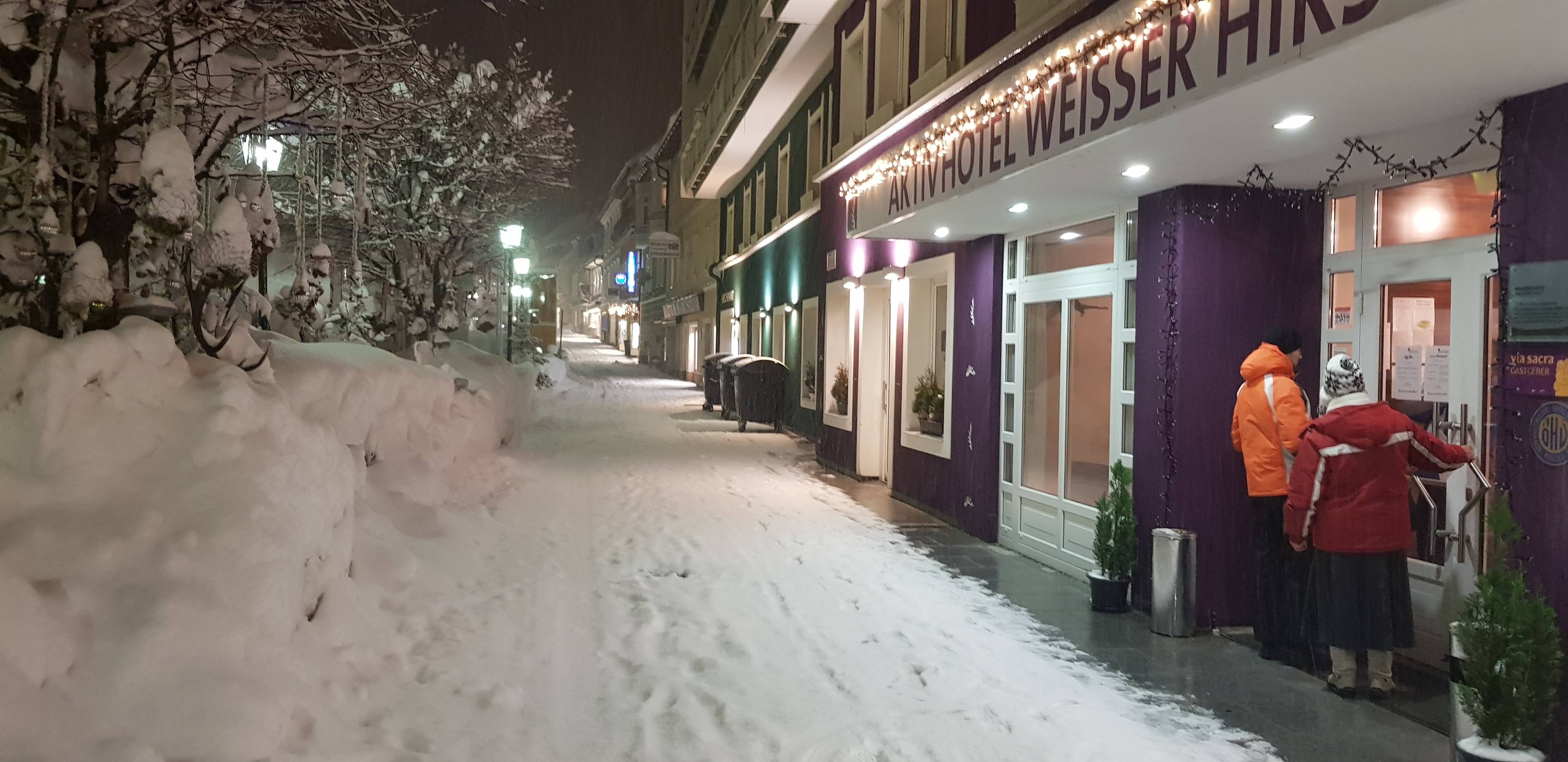 Aktivhotel Weisser Hirsch-浴室