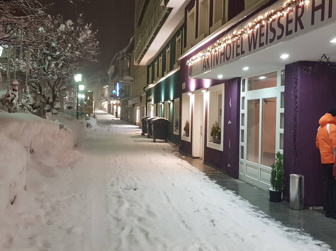 Aktivhotel Weisser Hirsch主图